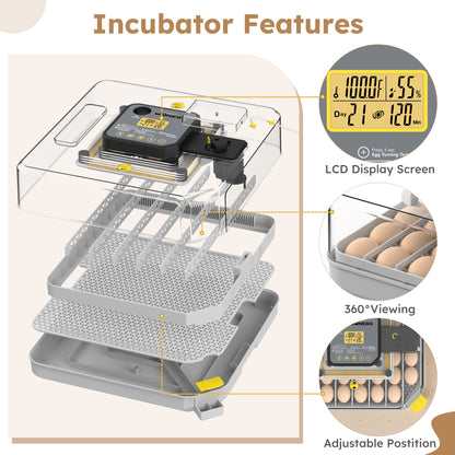 48 Egg Incubator for Hatching Chicken, Duck, Quail & Parrot Eggs – Automatic Egg Turning, Humidity Control & Water Serving – 360° Clear View Poultry Hatcher with Temperature Display