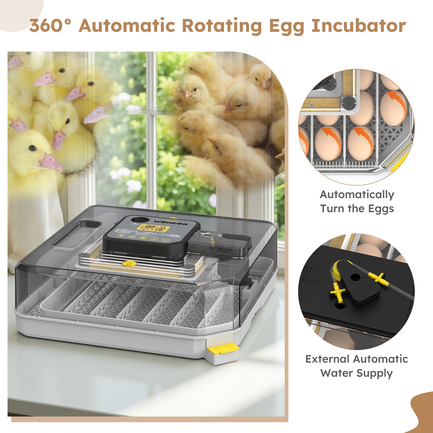 48 Egg Incubator for Hatching Chicken, Duck, Quail & Parrot Eggs – Automatic Egg Turning, Humidity Control & Water Serving – 360° Clear View Poultry Hatcher with Temperature Display