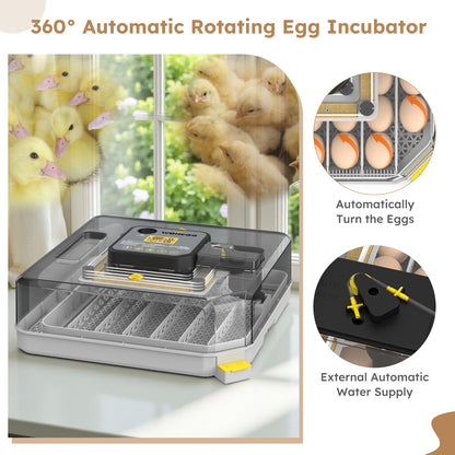 48 Egg Incubator for Hatching Chicken, Duck, Quail & Parrot Eggs – Automatic Egg Turning, Humidity Control & Water Serving – 360° Clear View Poultry Hatcher with Temperature Display