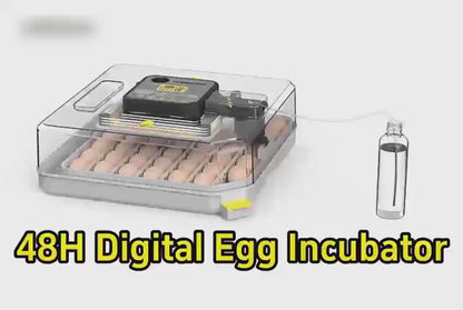 48 Egg Incubator for Hatching Chicken, Duck, Quail & Parrot Eggs – Automatic Egg Turning, Humidity Control & Water Serving – 360° Clear View Poultry Hatcher with Temperature Display